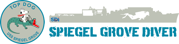 Spiegel Grove Diver
